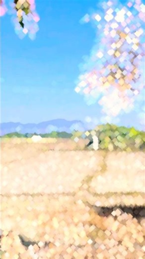 Mini Vlog || #bodoreals #reels #viralvideo #viral