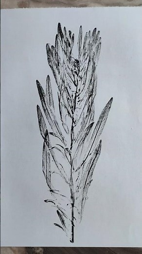 Monotype Printing | Step by Step #art