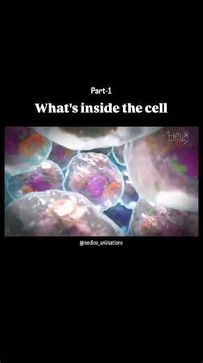 medical_animation on Instagram: "Part-1- What's inside the cell Animation credit 📸- @helixanimation #cell #dna #medical"