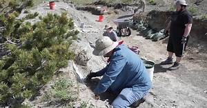Digging up bones on the Montana Dinosaur Trail