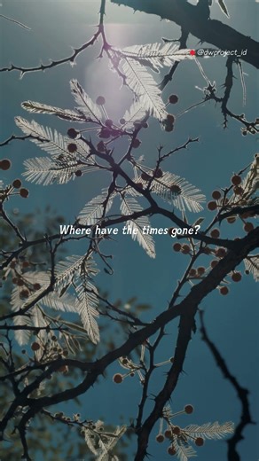 Payphone - Maroon 5 (Lyrics) | I'm at a payphone, trying to call home | Aesthetic #shorts