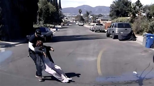 Respect: Plumbers Spring Into Action After Bee Swarm Attacks Grandma!