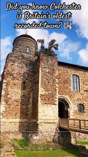 Exploring Colchester Castle 🏰 | Hidden History #shorts #travel #history