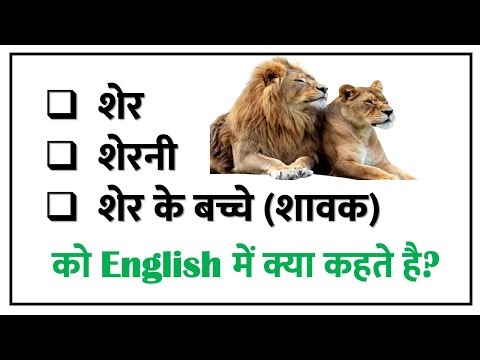 शेर, शेरनी, शेर के बच्चे को इंग्लिश में क्या कहते है? / Sher Sherni ko english mein kya kahate hain
