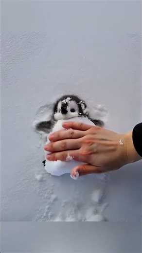 baby penguins 🐧🐧funny moments 😍😇