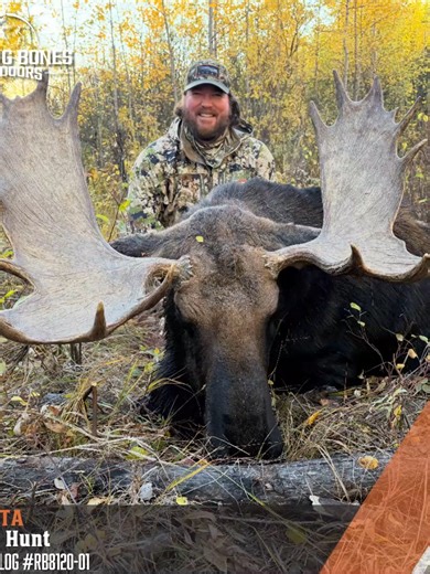 Moose hunting doesn’t always mean Alaska or Yukon. There are solid options in Alberta, British Columbia, Saskatchewan and more — it just comes down to having the right plan. If moose is on your list, send us a DM and let’s talk strategy. #MooseHunting #CanadaHunts #WesternHunting #HuntPlanning #RollingBonesOutdoors #GuidedHunts #BigGameHunting #HuntStrategy #Outfitter #AdventureStartsHere