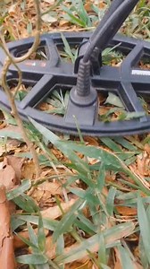 Wow i found very old coins! #treasure #metaldetecting #oldcoins #metaldetector | GO finder