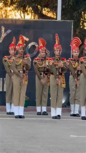 Jai Hind 🫡 BSF 🪖 Performance #bsf #border #performence #vidio #bsf #training #shorts