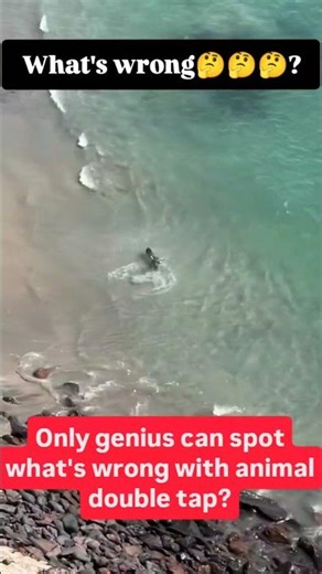 animal failed from hunt can you know why? #animallife #bird #wild #nature #trending #ukn#usa