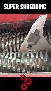 SATISFYING ASMR Shredding Best