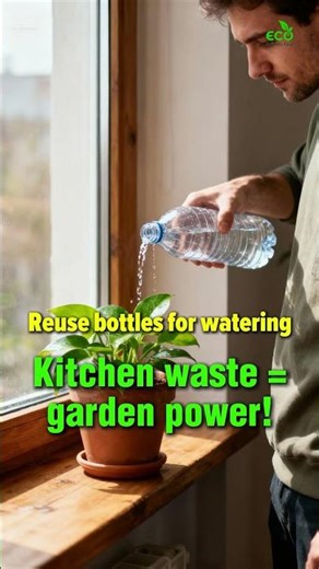 How to Start a Zero Waste Garden at Home 2025