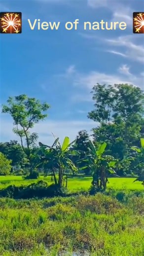 Bangladesh Nature Photography | Unseen Views + Camera Shooting Guide