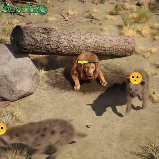 The Former Lion King Suffered Humiliation #lion #animals #animalworld #games