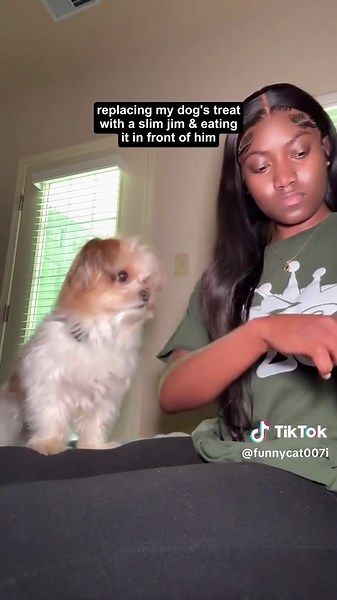 Hilarious Dog Moments That Will Make You Laugh