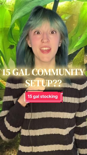 Setting Up a Betta Fish Tank: 15 Gallon Aquarium Guide