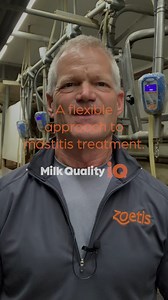 85 reactions | When it comes to mastitis, the details matter. If you’re looking to tighten up your protocol, these pro-backed tips from our Zoetis dairy technical services team are a solid place to start. Visit YourMilkCanBeMore.com for more tips like this. | Zoetis Dairy | Facebook