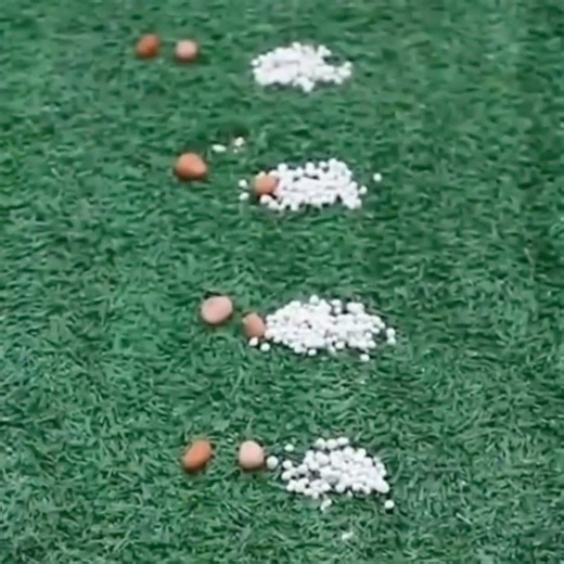 Manual Seeder & Fertilizer Applicator | Precision Planting Made Easy 🌱