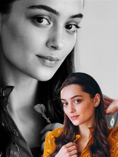 Exploring the Impact of Color in Video Editing