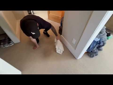 How to remove diarrhea, pet stains from wool carpets