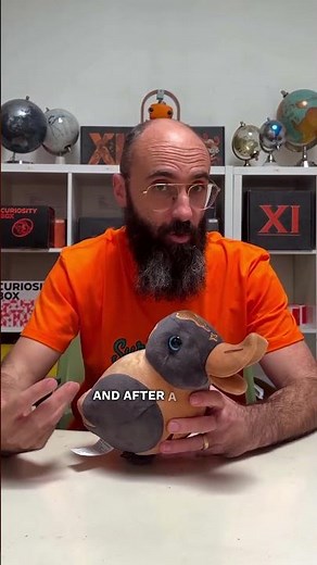 What's your favorite optical illusion? #vsauce #science #sciencefacts #psychology #physics