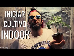 Cultivation in INDOOR TENT from scratch: assembly, types of light, initial impressions || en20metros
