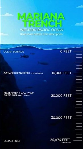 The Deepest Place on Earth: The Mariana Trench 🌊📉