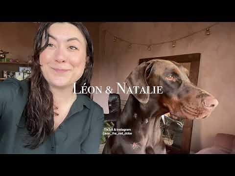 Léon & Natalie - Owning a Doberman