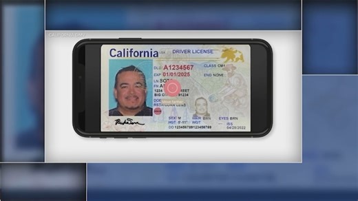 Digital ID: Here's how mobile driver's license tech could be used by Bay Area businesses