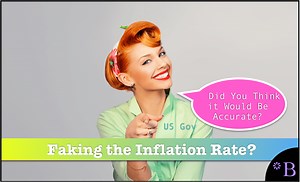 How Accurate is ShadowStats on The Understatement of US Inflation With the New CPI? - Brightwork Research & Analysis