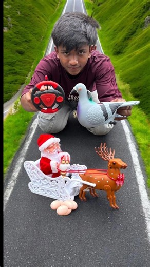 Pigeon Birds With Rc Musical Santa Claus Reminder Gift 🎁