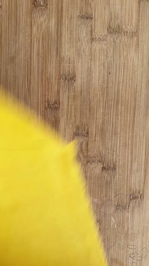 ravioli, ravioli, give me the formuoli 🍝 chefs kiss to this amazing SpongeBob pasta by @Danny Loves Pasta