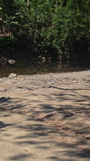 @Migue de aguilar *Dany* cbf160