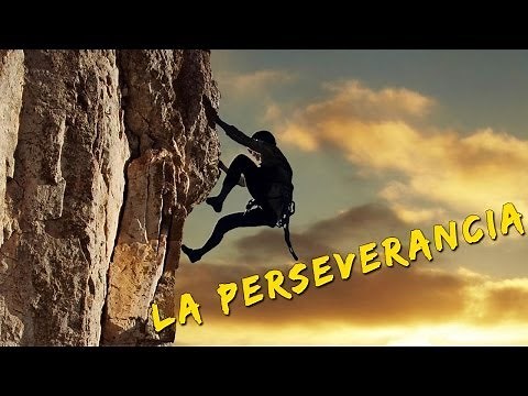 La perseverancia, Reflexiones de vida, Reflexiones diarias