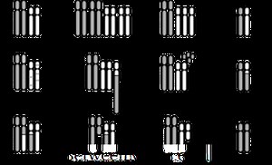 Διαφορά μεταξύ της χρωμοσωμικής παρεκτροπής και της μετάλλαξης γονιδίων | Χρωμοσωμική εκτροπή έναντι μετάλλαξης γονιδίων - Επιστήμη & φύση 2026