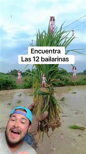 Cuentas recomendadas