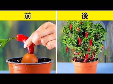 プロのようにガーデニングしよう🌱🌼 これらのトップハックとヒントで庭を変えましょう！