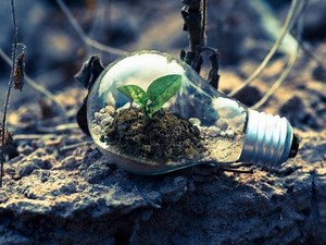 Examples of Environmental Impact and its Consequences ▷➡️ Postposmo