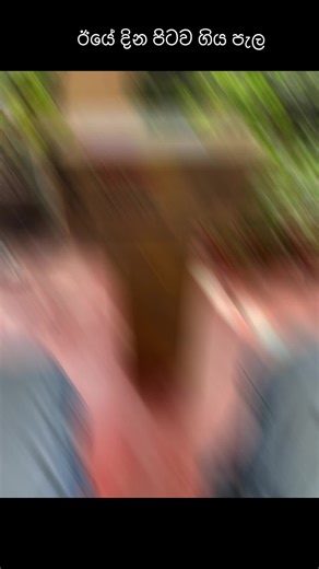 Ashoka Plant Nursery (@ashokaplantnursery_67)’s videos with Vibes - ZHRMusic