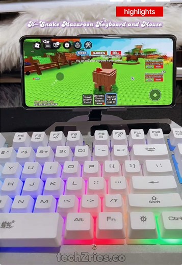 K–Snake Keyboard and Mouse: Ultimate Gaming Setup