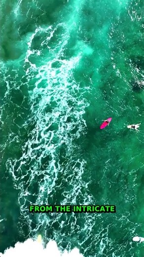 Natural Textures | 5 Mind-Blowing Examples In Science