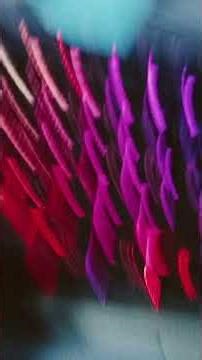 how and windows on your computer to start making videos