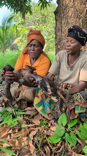 Survival through skill — a successful baboon hunt by the Bushmen tribe. #bushlife