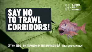 This is our last chance to ban bottom trawling from the Hauraki Gulf Marine Park. Head to www.optionzero.co.nz to let them know you want it gone. | LegaSea NZ