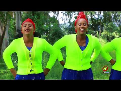 New Ethiopian Music | SHAGGAR GALUUFANII - Bohaara Birahaanu
