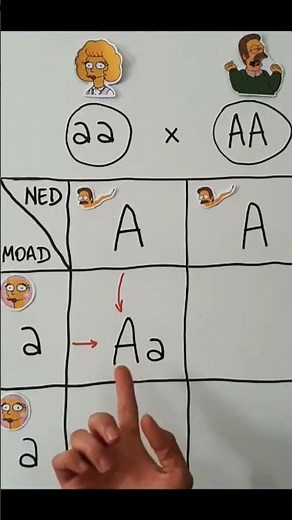 Mendel's Laws for Beginners. #education #science #school #biology