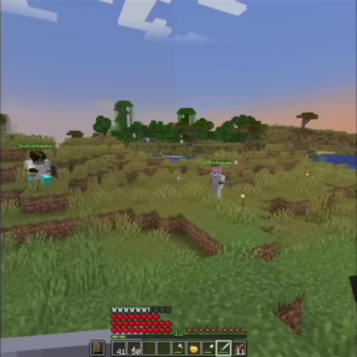 #ldshadowlady #grian #smallishbeans #ldshadowladyedit #lifeseries