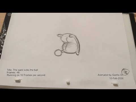 The sack kicks the ball - 12 Frames per second