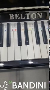 BANDINI Removable Piano Keyboard Note Labels 88 Keys for Learning, Reusable Silicone Piano Note Labels Strips, Compatible with 61 Keys, No Need Stickers, Comes with Box (Colorful)