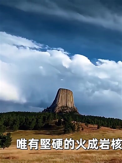 世界上最大的十棵超级巨树 #树 #植物百科 #科普一下 #杉树