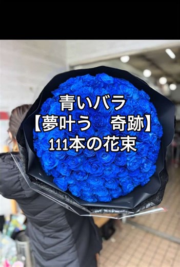 111本の青い薔薇💙花束 意味は「一生愛します」 【私の全てをあなたに捧げる】 さらに青いバラの花言葉は “夢叶う・奇跡”✨ プロポーズで渡されたら 一生忘れられない花束。 #青い薔薇 #サプライズ #花束 #バラ #花屋